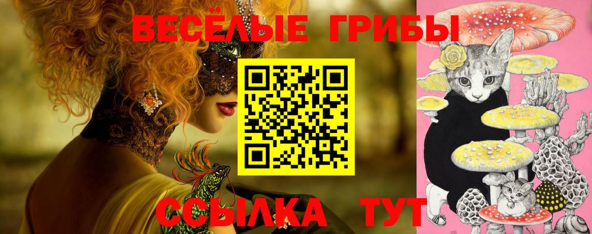 Псилоцибиновые грибы ЛСД Коломна